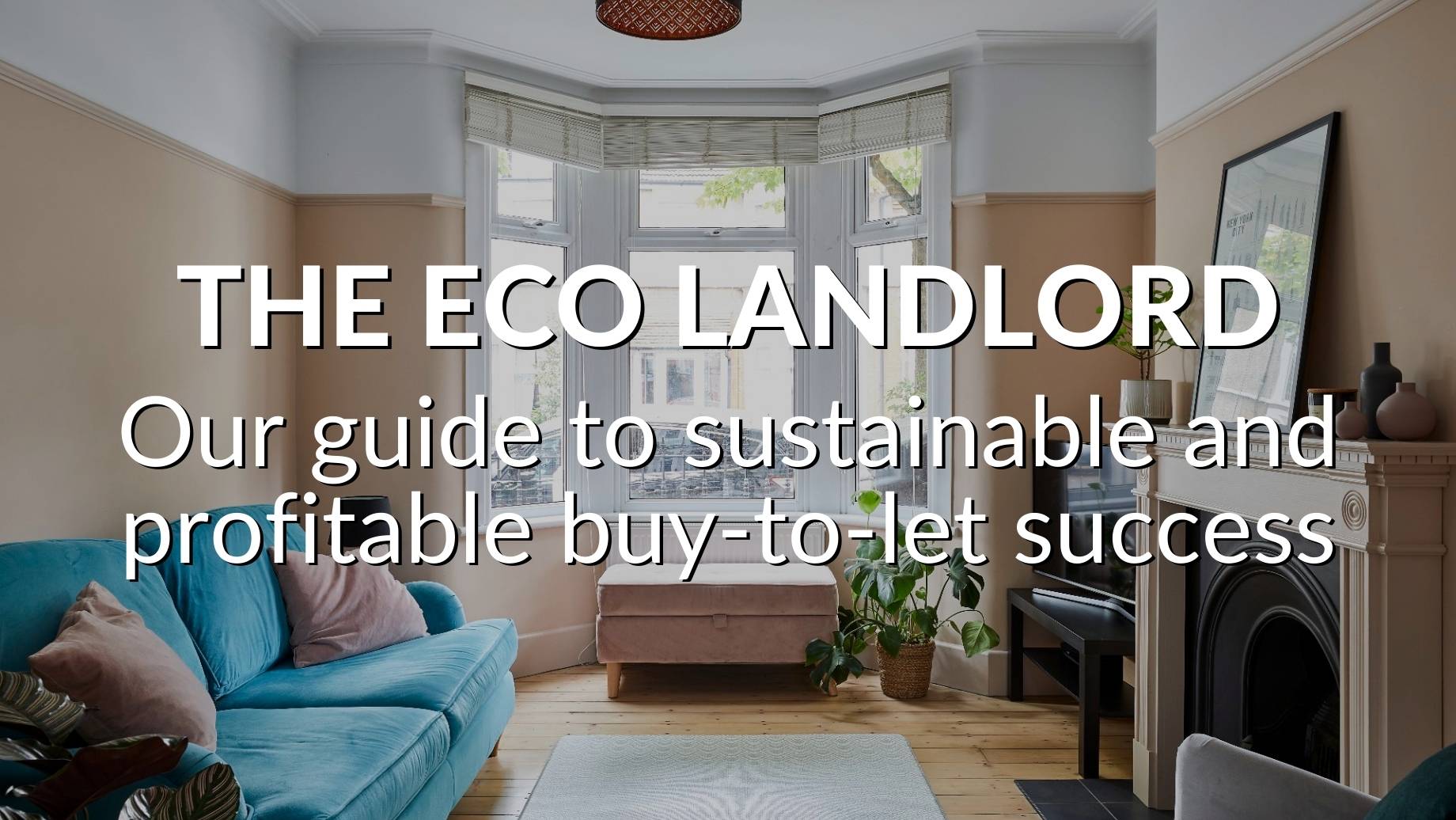 THE ECO LANDLORD: OUR GUIDE TO SUSTAINABLE & PROFITABLE BUY-TO-LET ...